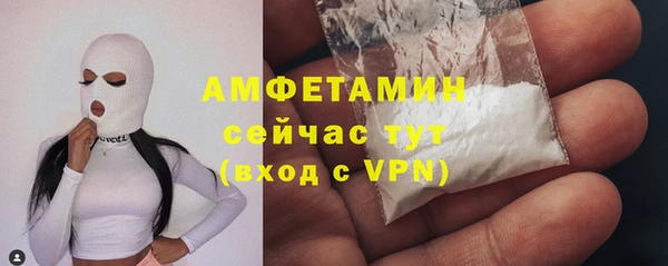 дмт Бородино