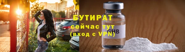 дмт Бородино