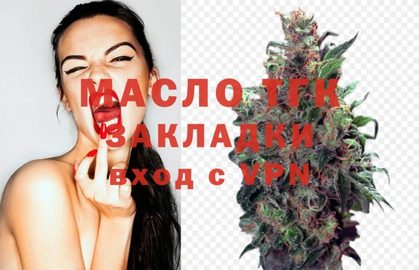 дмт Бородино
