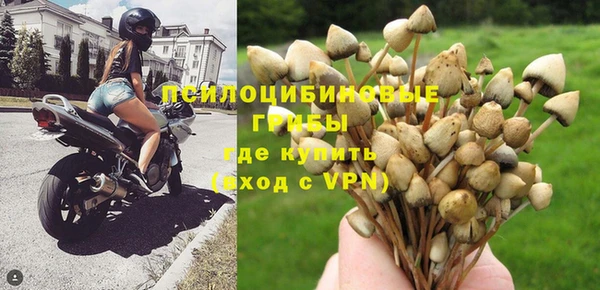 гидропоника Бронницы