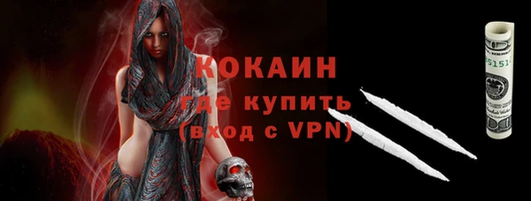 дмт Бородино