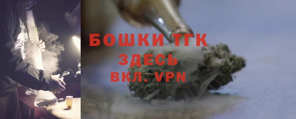 дмт Бородино