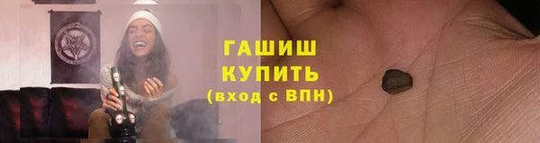 дмт Бородино