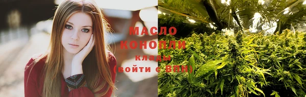 дмт Бородино