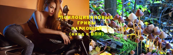 гидропоника Бронницы