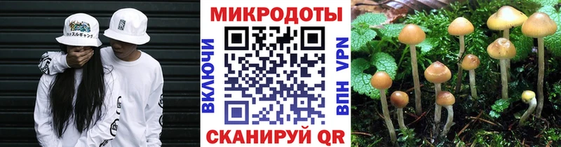 KRAKEN ONION Медынь Псилоцибиновые грибы GOLDEN TEACHER как найти